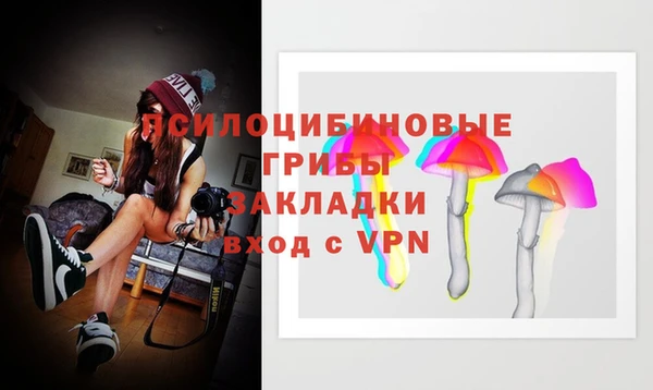 сатива Кодинск