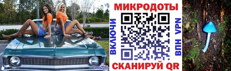 Купить закладки  Ставрополь  Псилоцибиновые грибы Psilocybine cubensis 